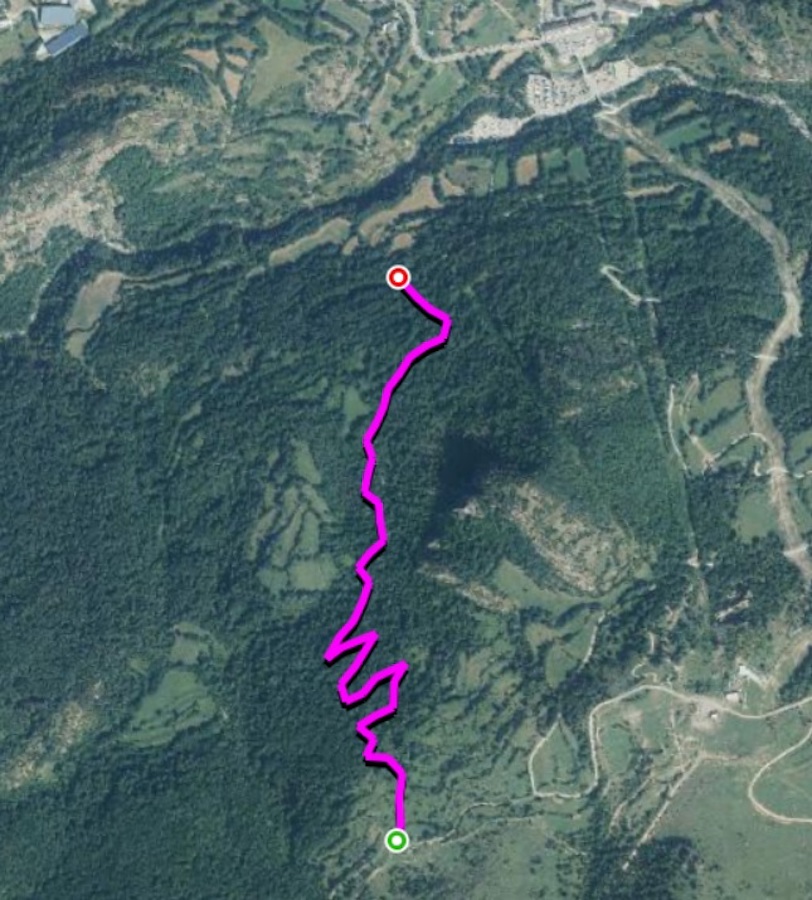 pista pedriza