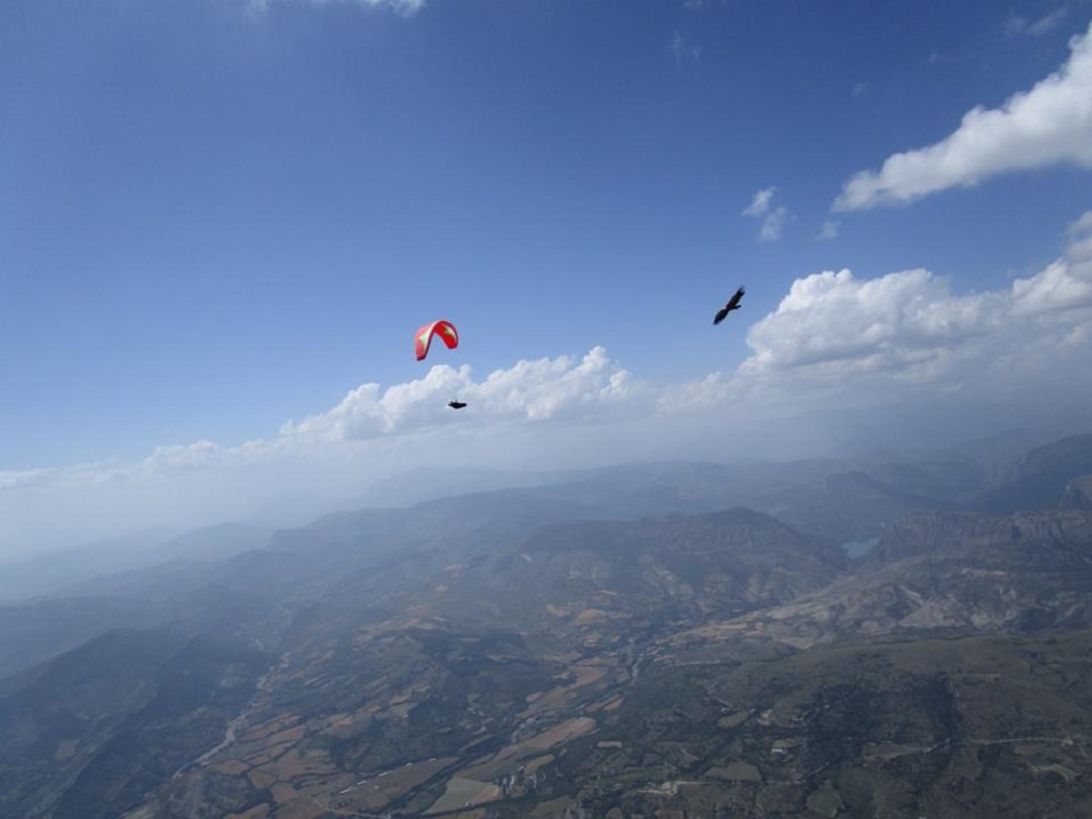 Vuelo en parapente, una forma única de sentirse como un pájaro.