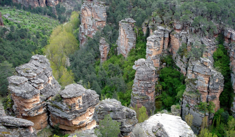 Parque Natural del Alto Tajo