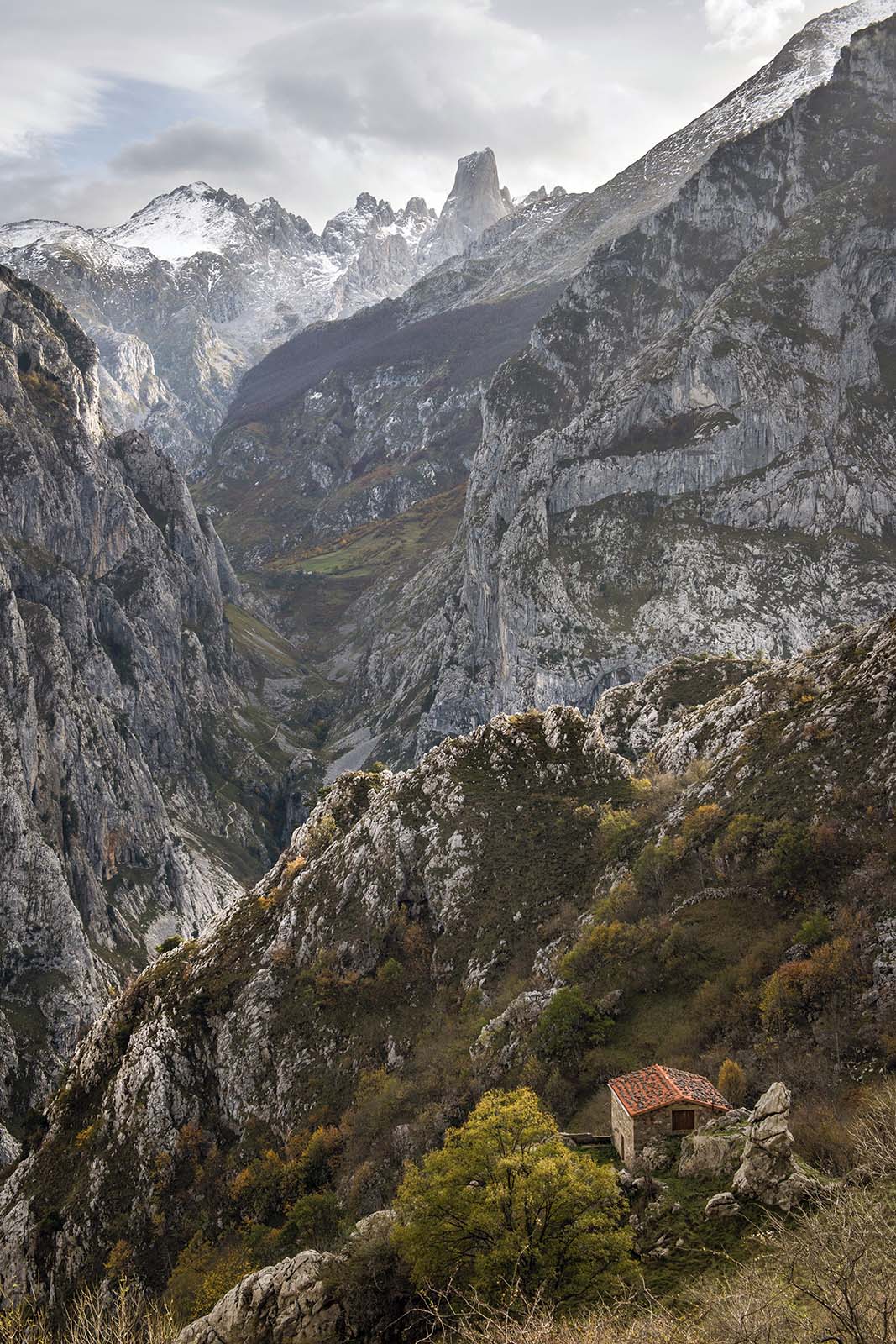 picos-de-europa-naranjo-de-bulnes-©-turismo-asturias-jose-ramon-garcía.jpg