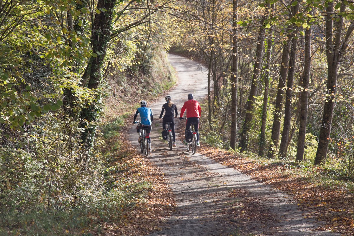 Tramo Olot - Les Preses - Foto: Stella Rotger)