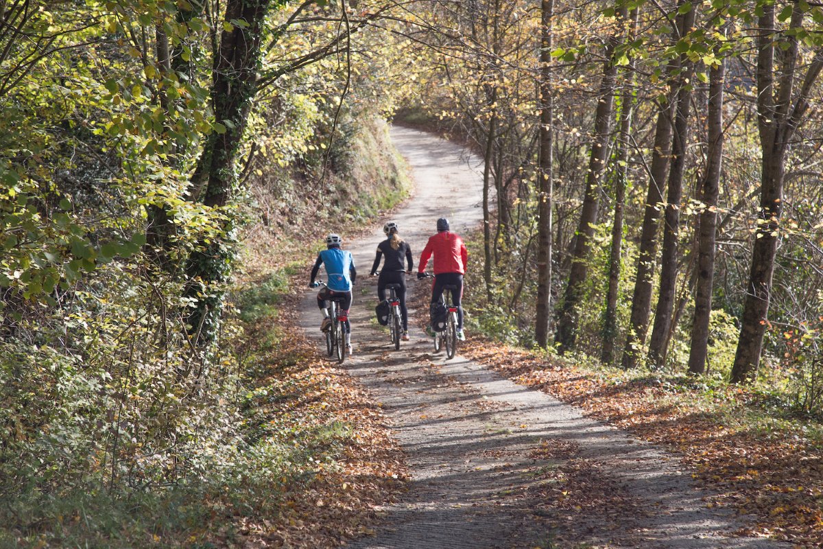 Tramo Olot - Les Preses - Foto: Stella Rotger)