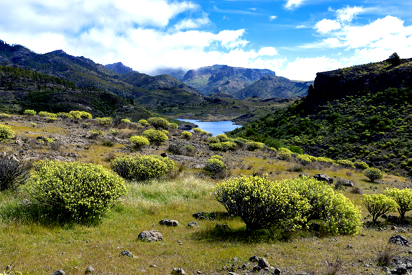 presa-de-las-ninas-gran-canaria.jpg