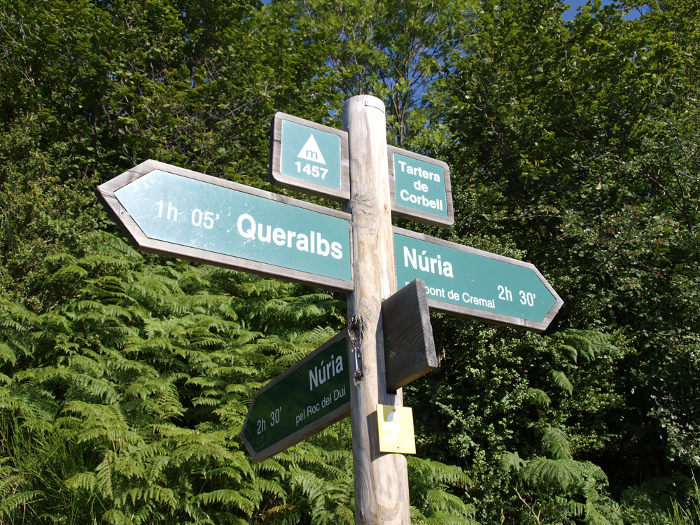 Cruce en el descenso del camino hasta Queralbs.