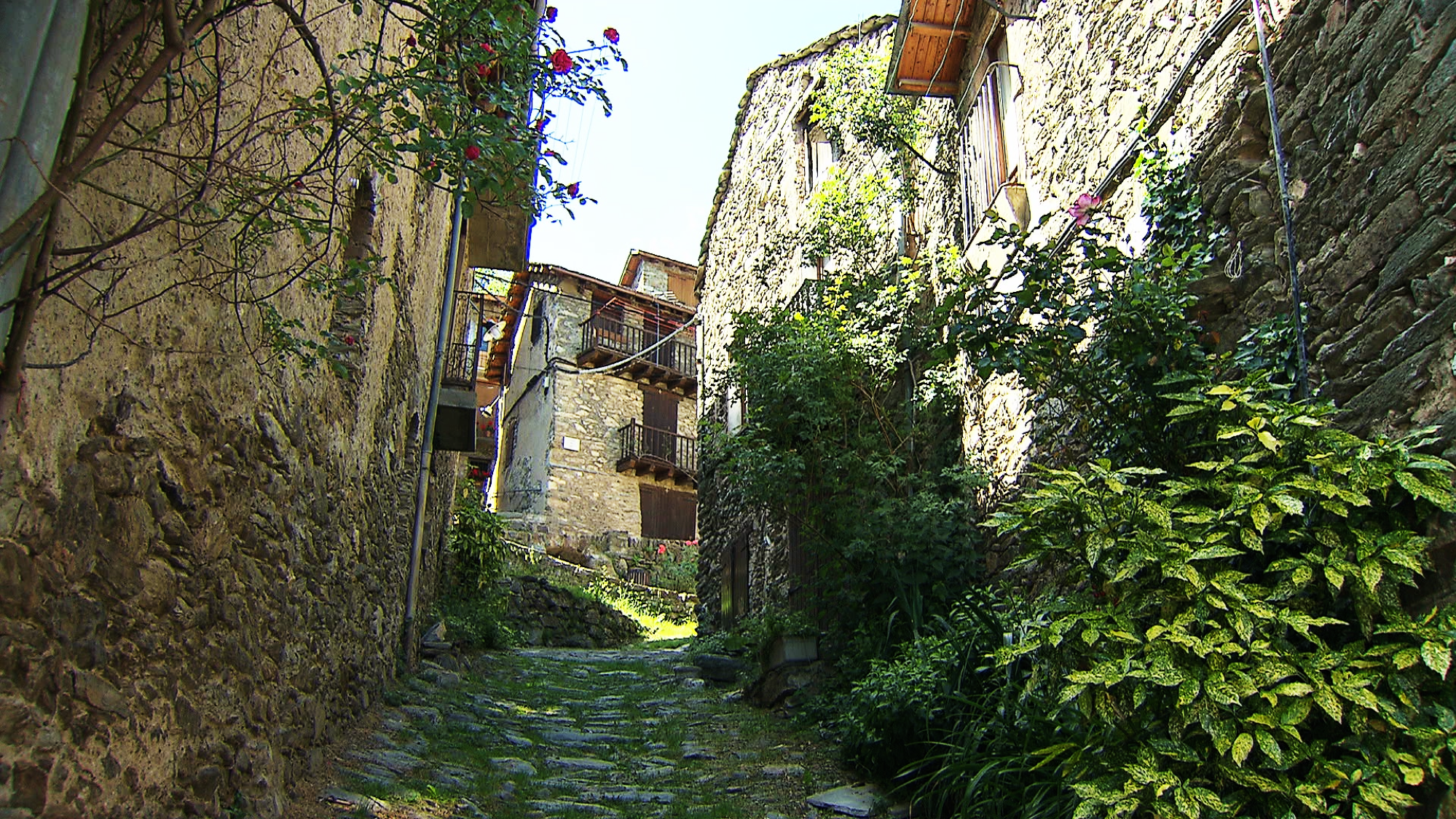 vall-de-nuria-queralbs