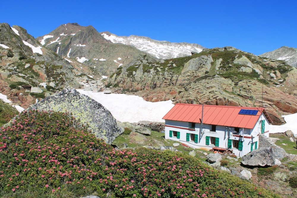 refugi