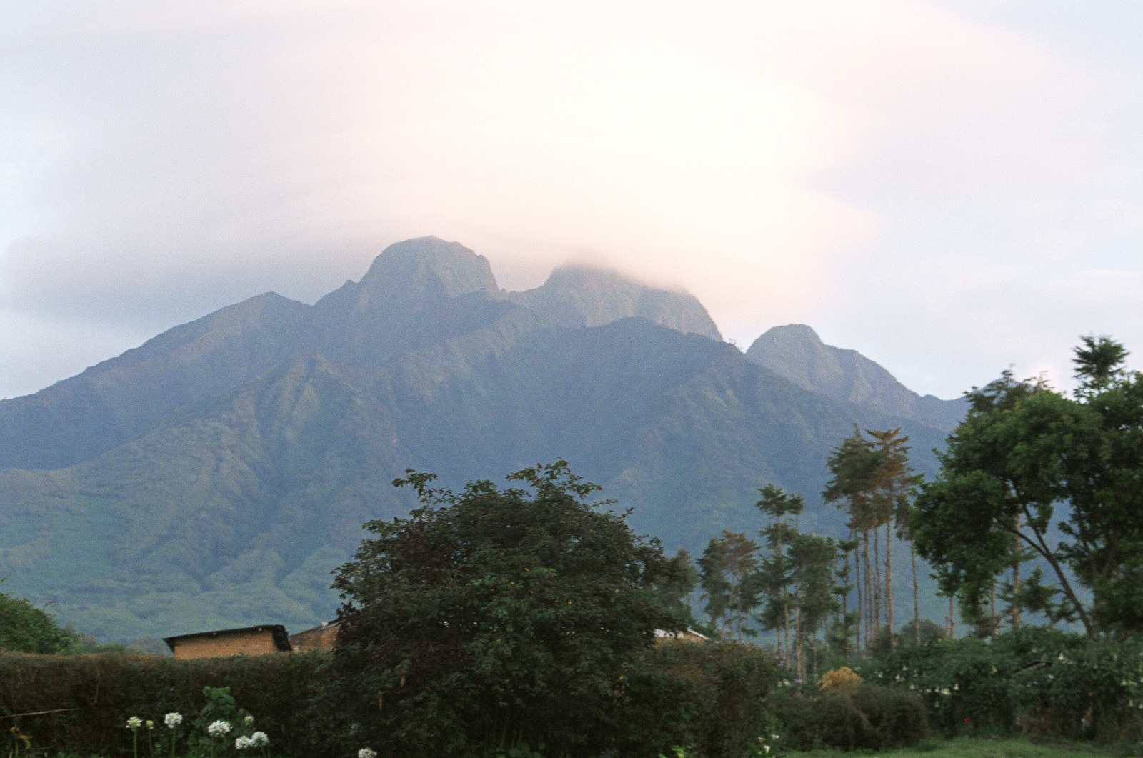 Montes Virunga. Autora: Montserrat Beltrán