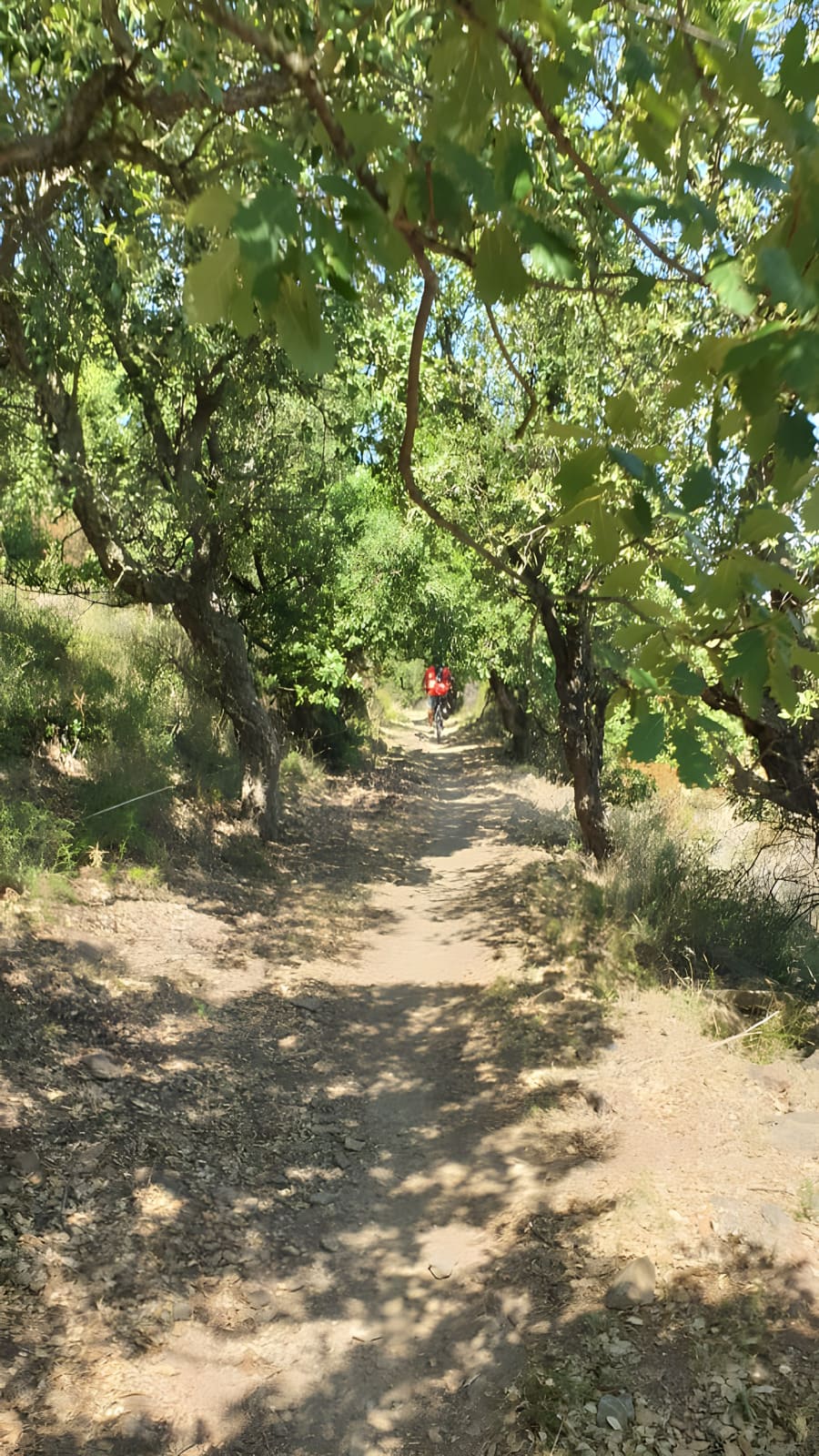 Ruta por el cap de Creus en mtb eléctrica