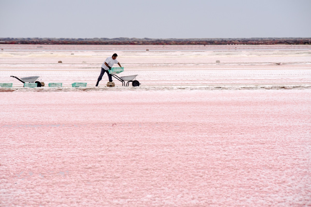 Salinas Grissan