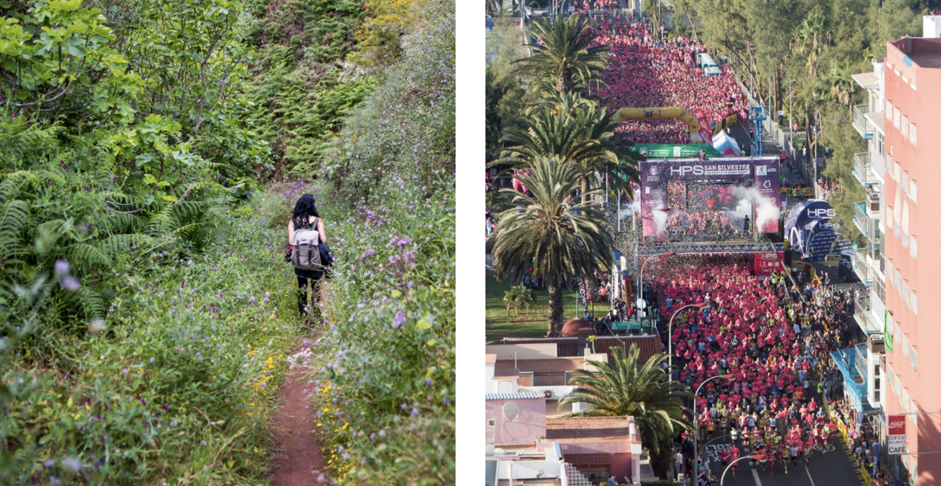 senderismo-san silvestre-gran canaria.png