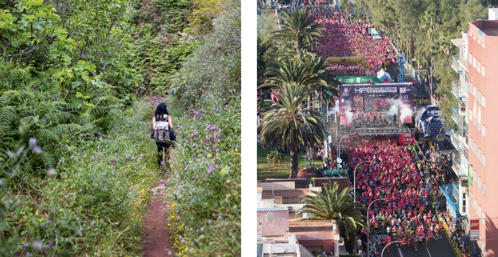 senderismo-san silvestre-gran canaria.png 