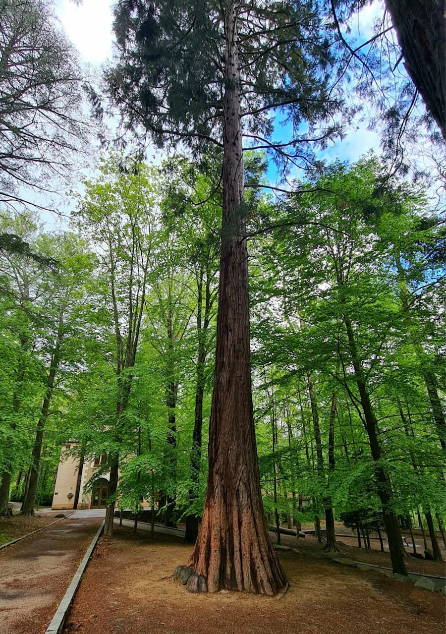 Montseny