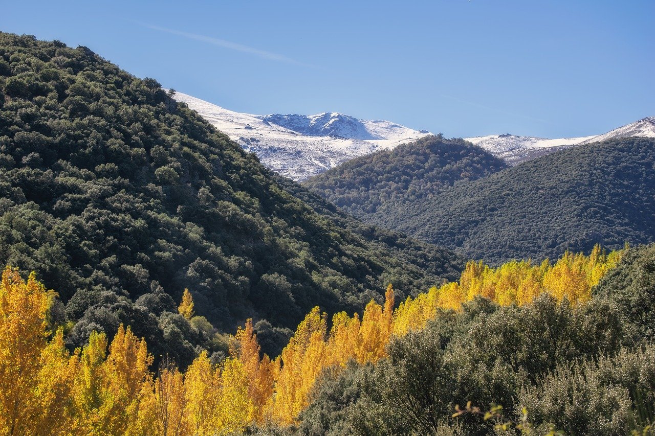 sierra nevada