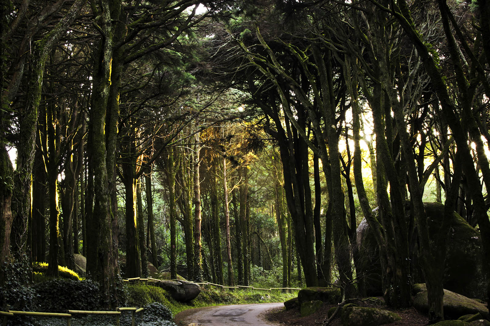 sintra-3-©-Turismo-de-Lisboa.jpg 