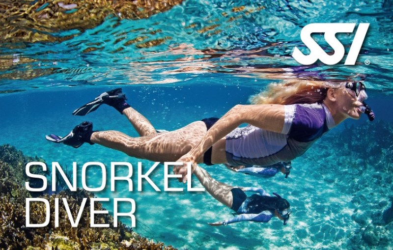 Snorkel diver