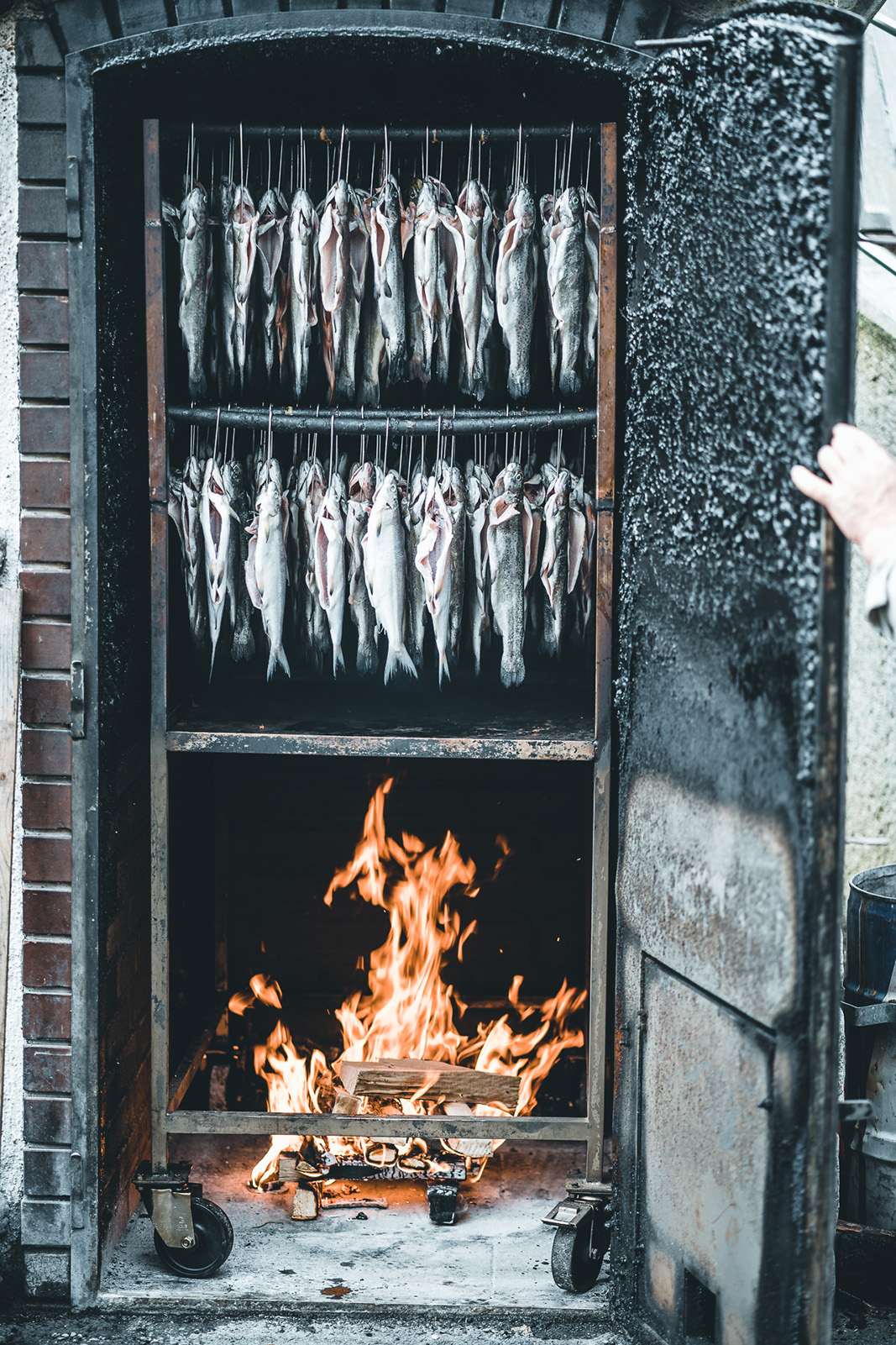 Ahumar pescado en Austria