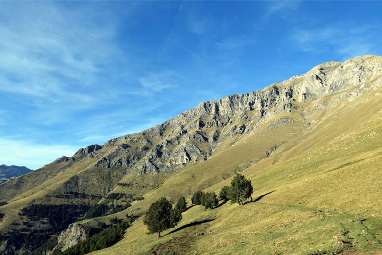 terreno-tren-dels-cims-fotografia-fgc.jpg 