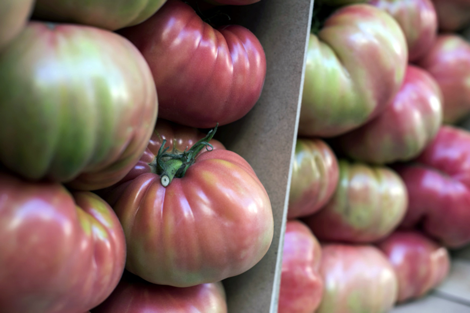 tomate-rosa-de-barbastro-fuente-barbastro-org.jpg