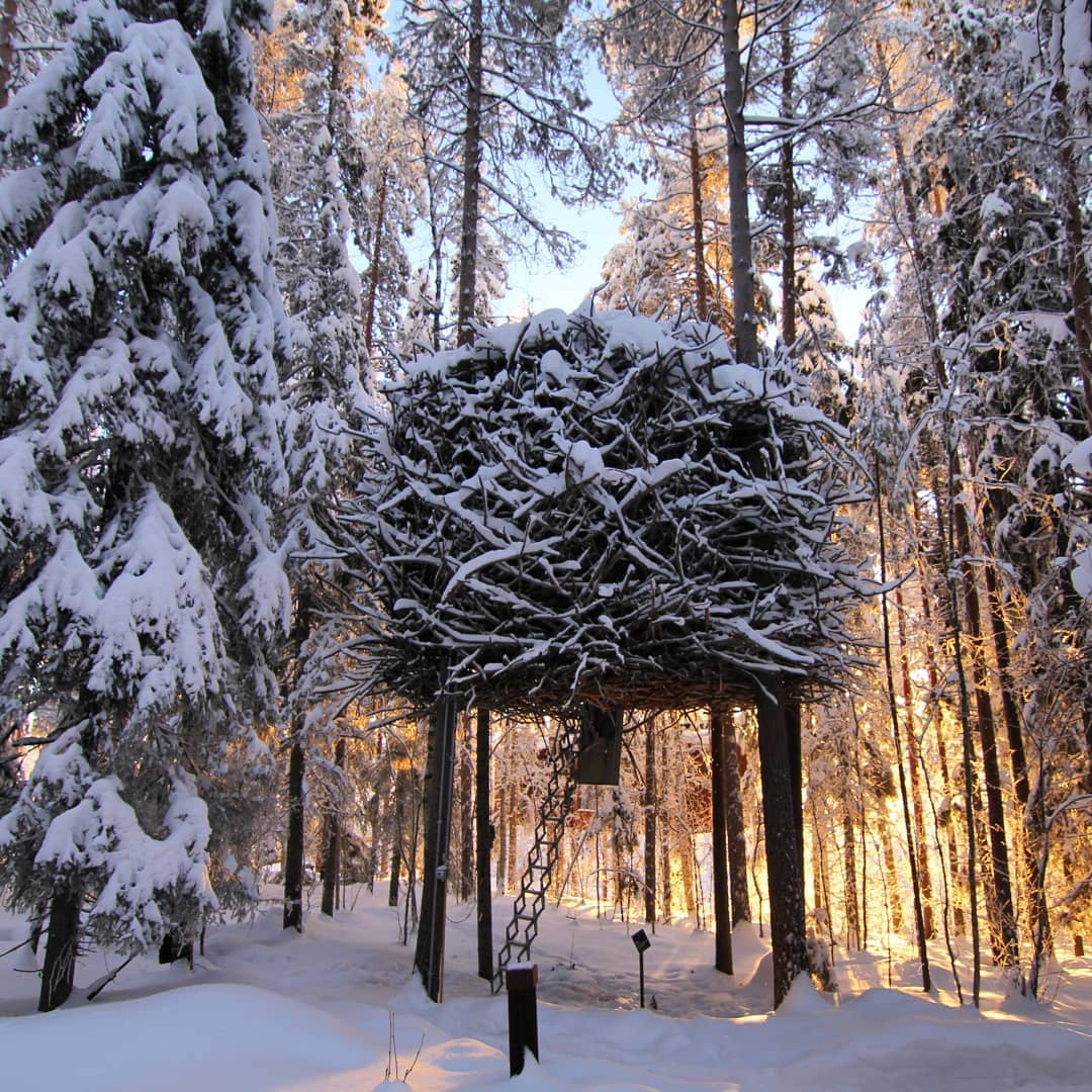 Treehotel