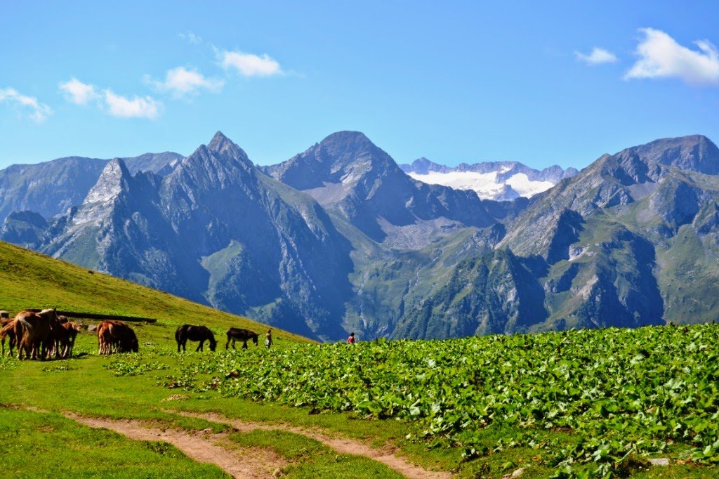 Val d'Aran festival