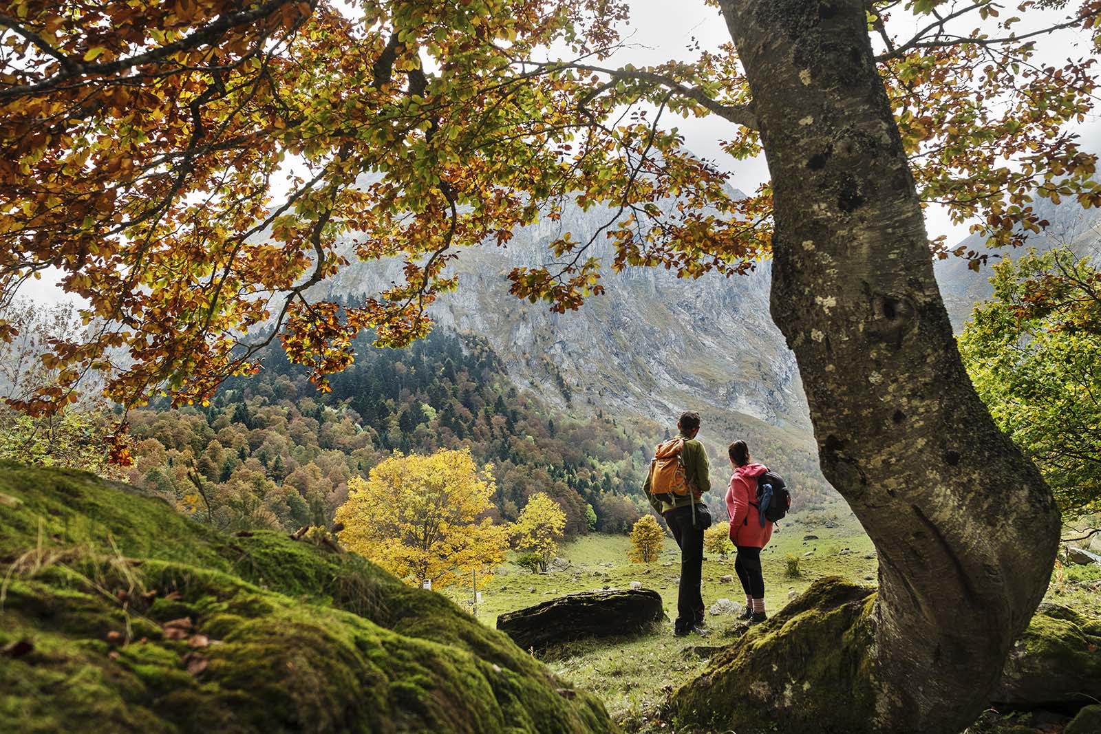 val-daran-©-patronat-de-turisme-diputacio-de-lleida-autor-oriol-clavera.jpg