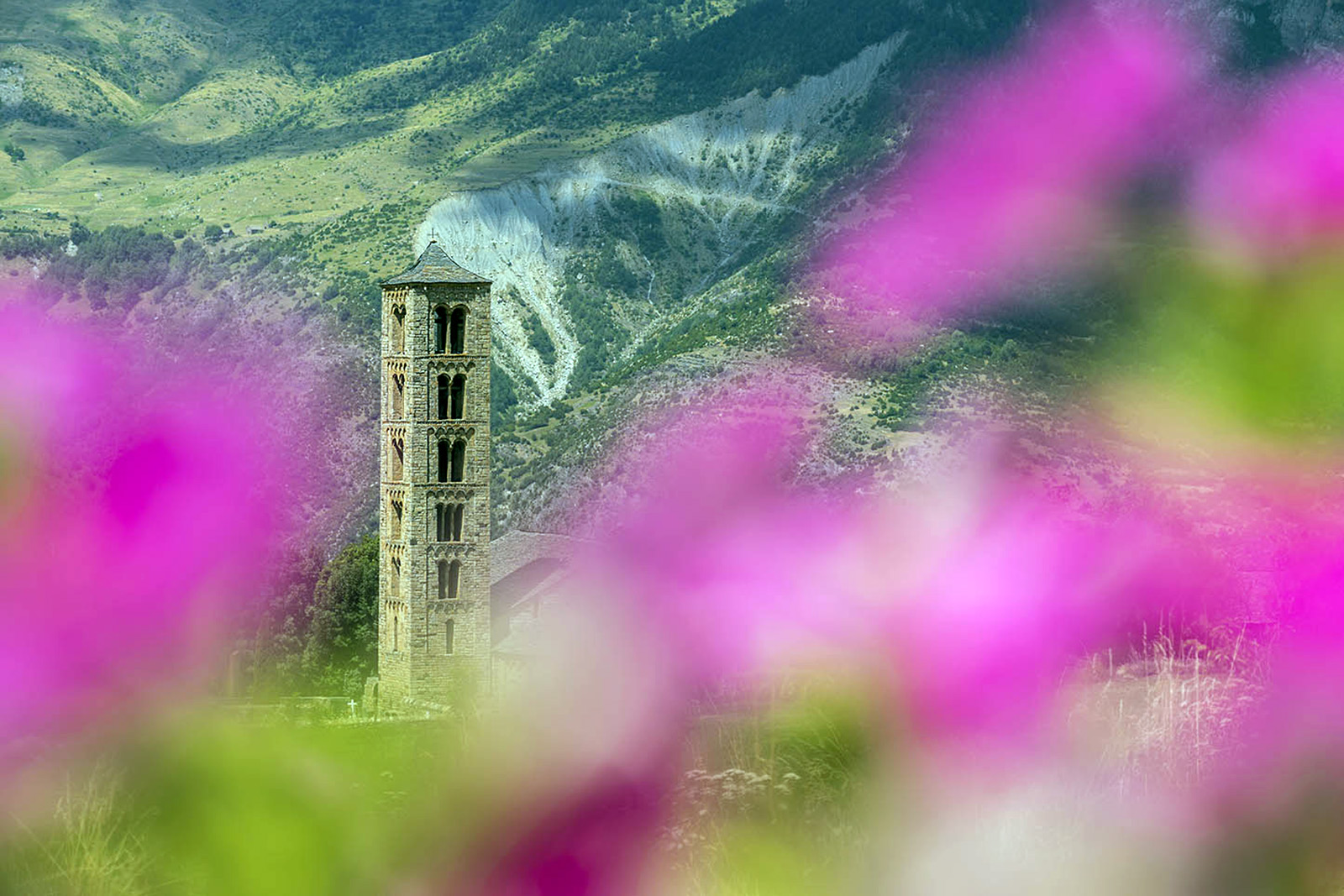 vall-de-boi.flores-fotografia-patronat-de-turisme-vall-de-boi-autor-oscar-rodabag.jpg