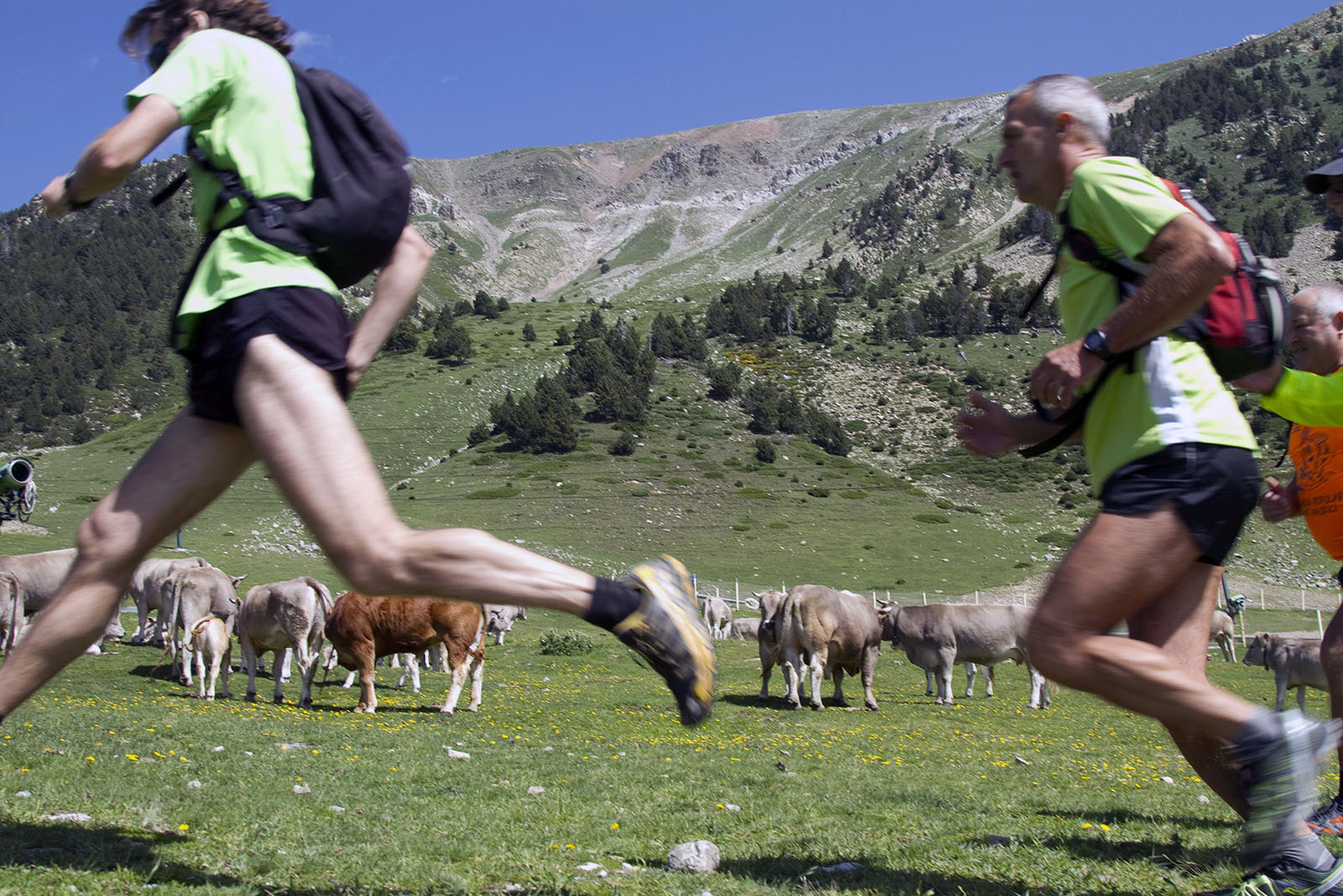vallter-2000-©FGC-autor-Oriol-Molas.jpg 