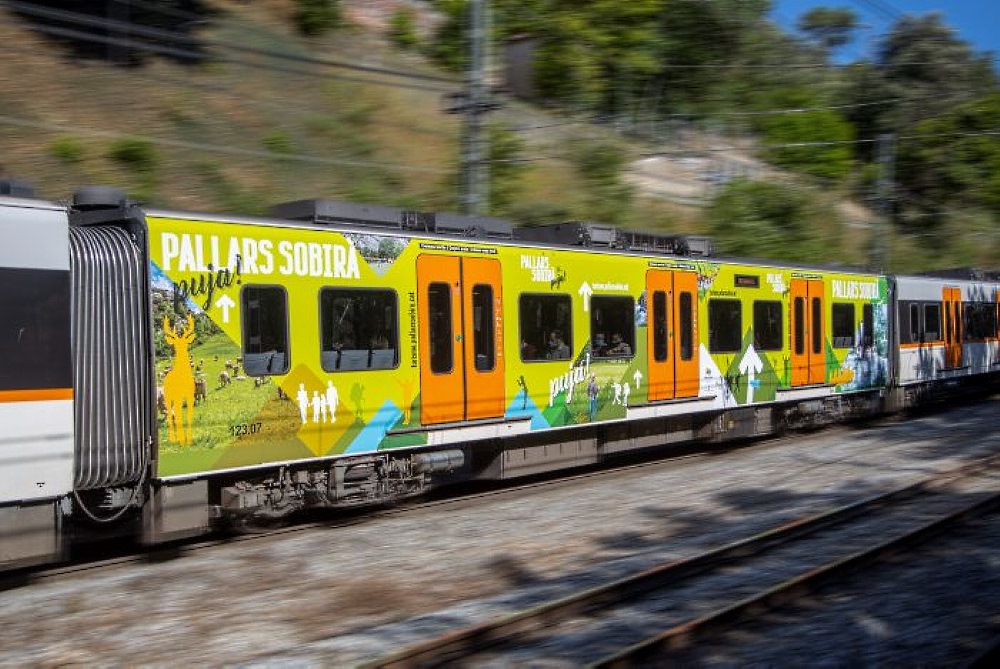vinilado-pallars-sobira.jpg