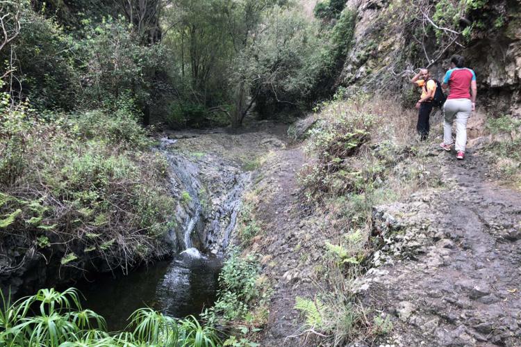 gran-canaria-azuaje-cascada-arroyo