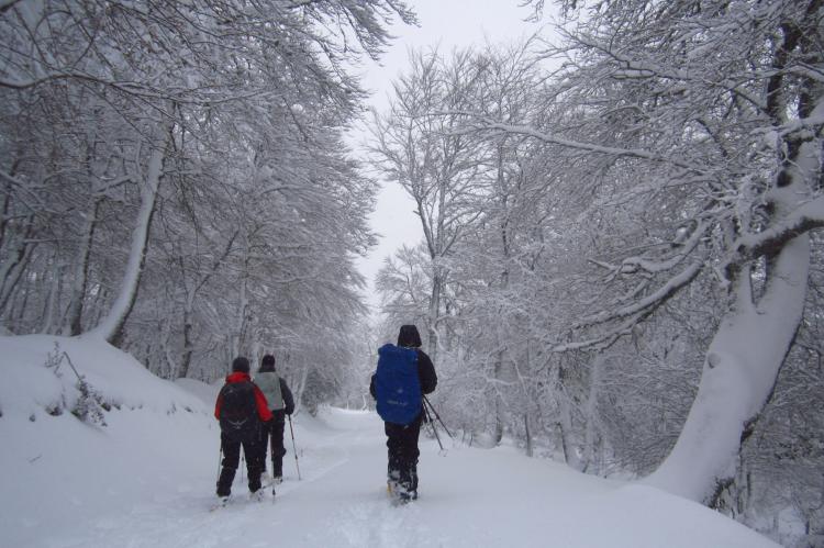 Prueba el senderismo con raquetas de nieve ¡engancha!