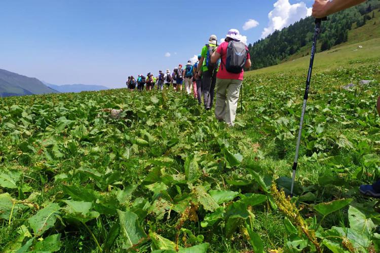 Éxito de participación en el 2º Val d'Aran Walking Festival