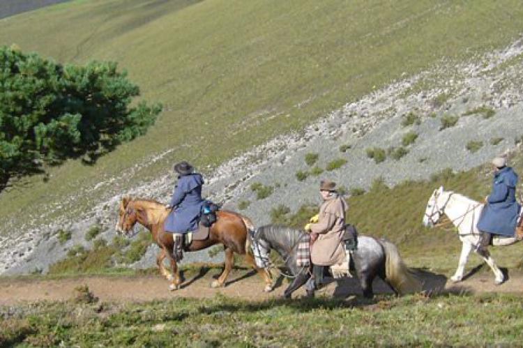 Camino de Santiago a caballo