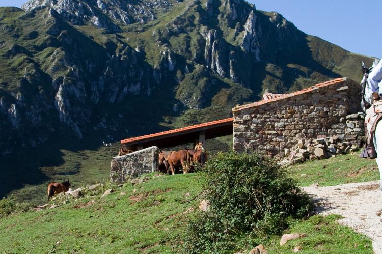 Picos de Europa a caballo