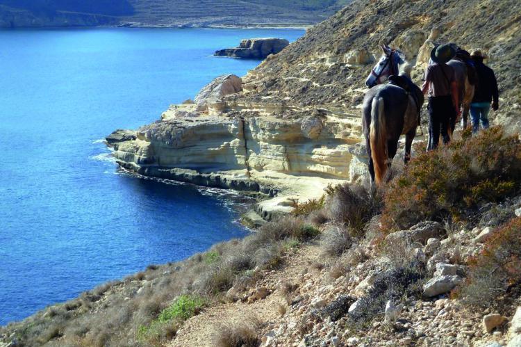 Andalucia, rutas salvajes a caballo