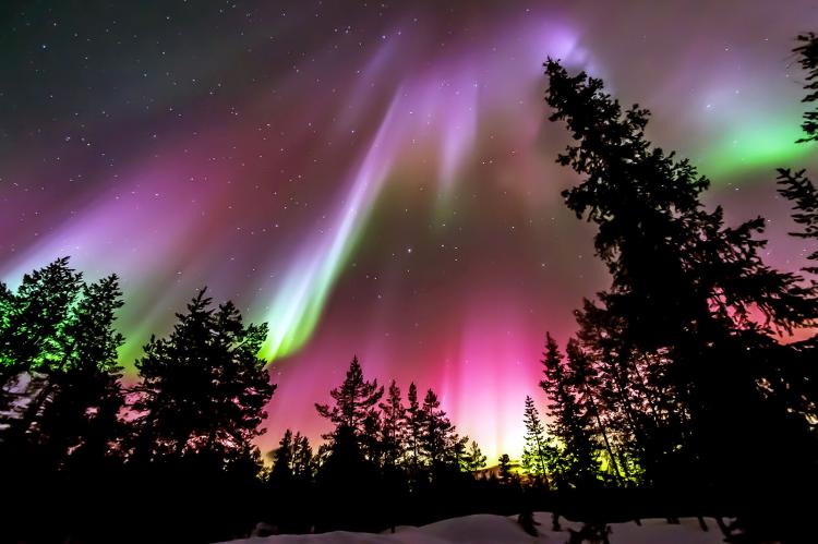 Aurora boreal en Finlandia. Fotografía: VisitFinland. Autor: Makus Killi