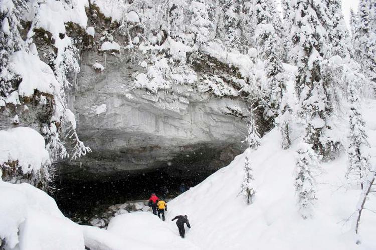 Un político ruso se inventa un “yeti” para atraer turistas a Siberia