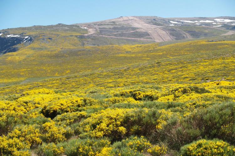 Sierra de Béjar – La Covatilla da el pistoletazo de salida a su temporada de verano 2021