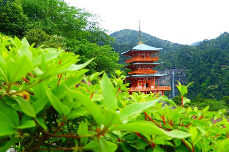 Japón: Camino de Kumano Kôdo. Senderismo y Cultura