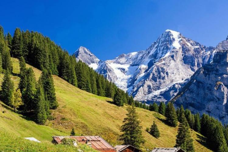 Senderismo en los Alpes suizos. Oberland Bernés