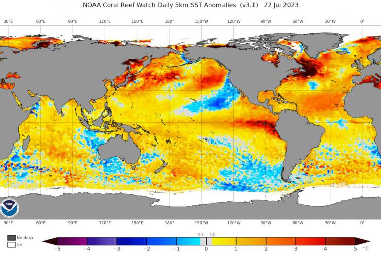 ¿Qué son El Niño y la Niña y cómo afectan a nuestro clima?