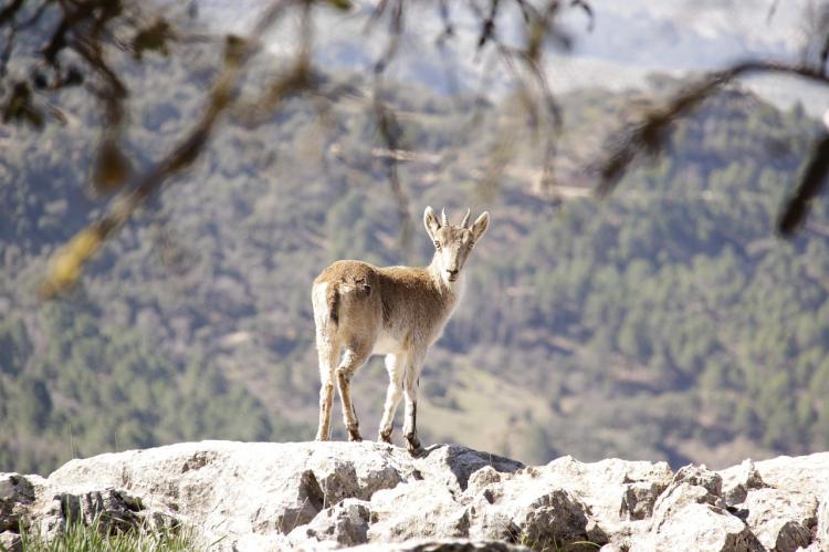 Naturaleza y aventura: cinco parques naturales para redescubrir España esta Semana Santa
