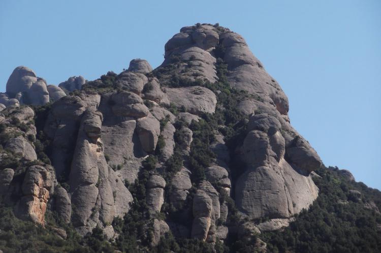 Prohibida la escalada en dos agujas de Montserrat para proteger al halcón mostachado